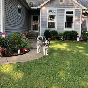 Meet your Posher, Yvonne